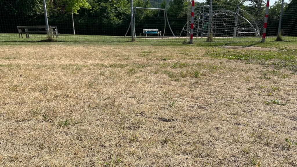 Wasser sparen Garten – vertrockneter Rasen in der Sommerhitze auf einem Fußballplatz