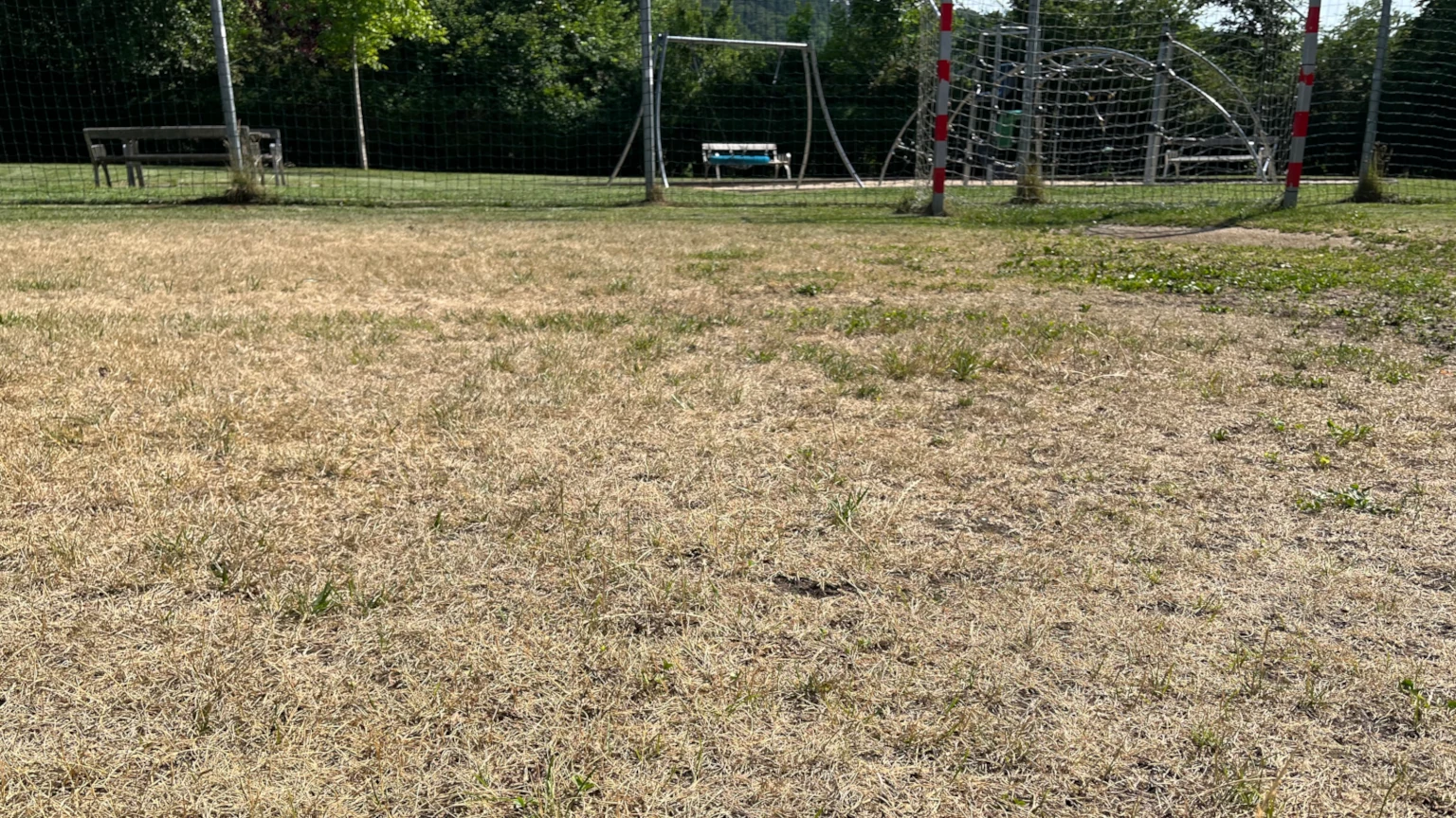 Wasser sparen im Garten – 7 effektive Methoden bei Hitze 1 Wasser sparen Garten – vertrockneter Rasen in der Sommerhitze auf einem Fußballplatz