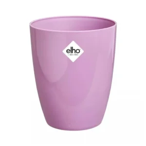 Blumentopf Brussels Diamond Orchidee Hoch