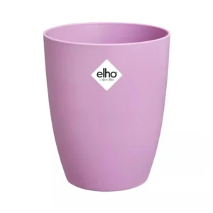 Blumentopf Brussels Orchidee Hoch