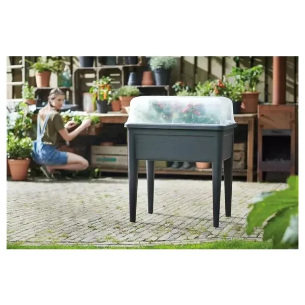 Green Basics Anzucht Haus XXL