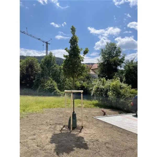 Halbrundholz Fichte