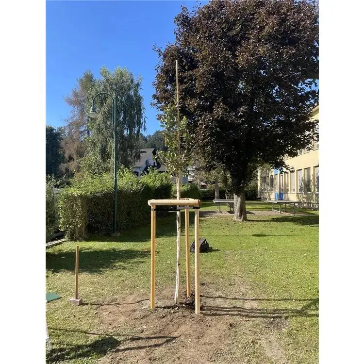 Halbrundholz Fichte 3 Halbrundholz Fichte – Bild 3