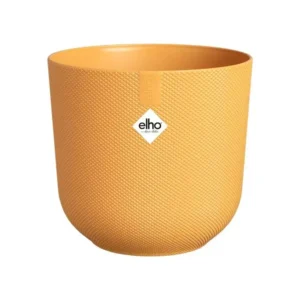 Blumentopf Jazz Rund