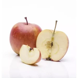 Apfelbaum Kulturapfel Malus domestica 'Rhapsodie' -S-