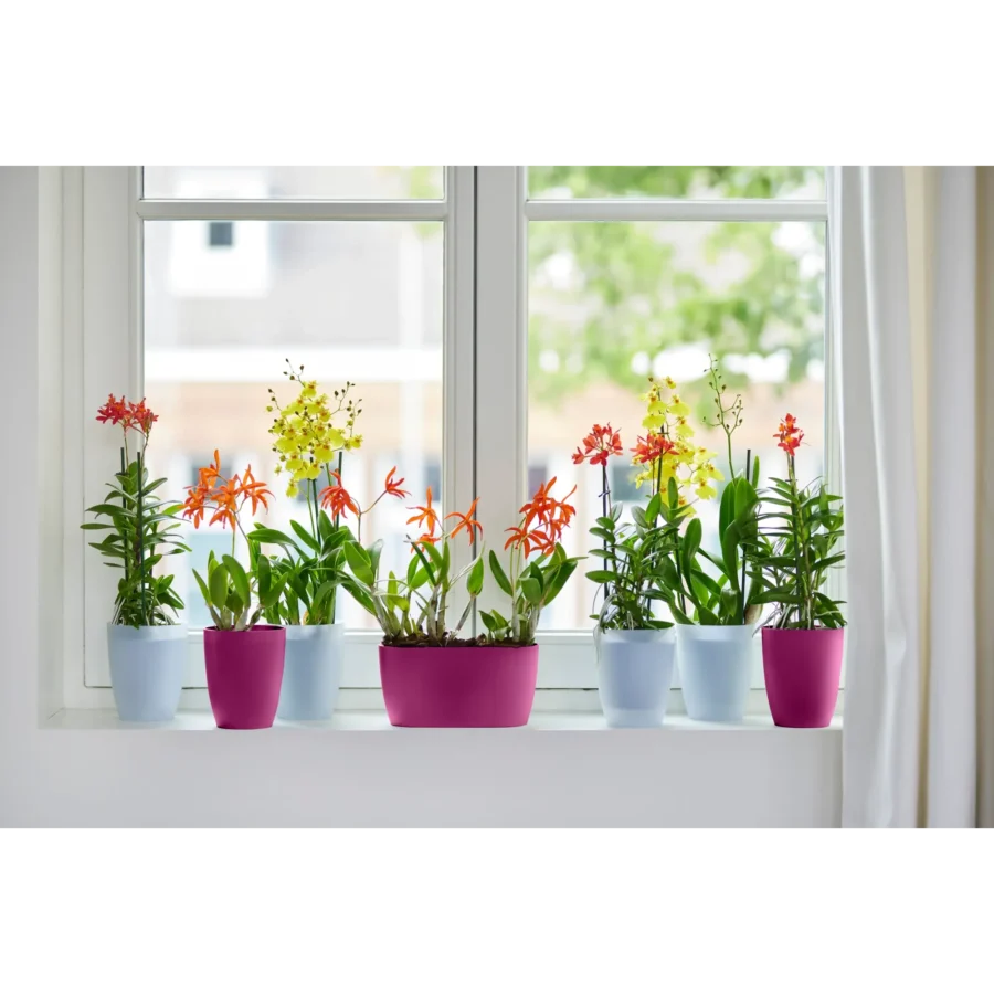 Blumentopf Brussels Orchidee Hoch – Bild 4