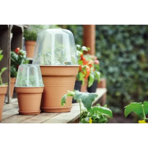 Green Basics Anzucht Haus Rund