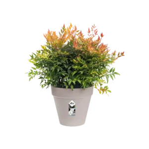 Blumentopf Loft Urban Rund