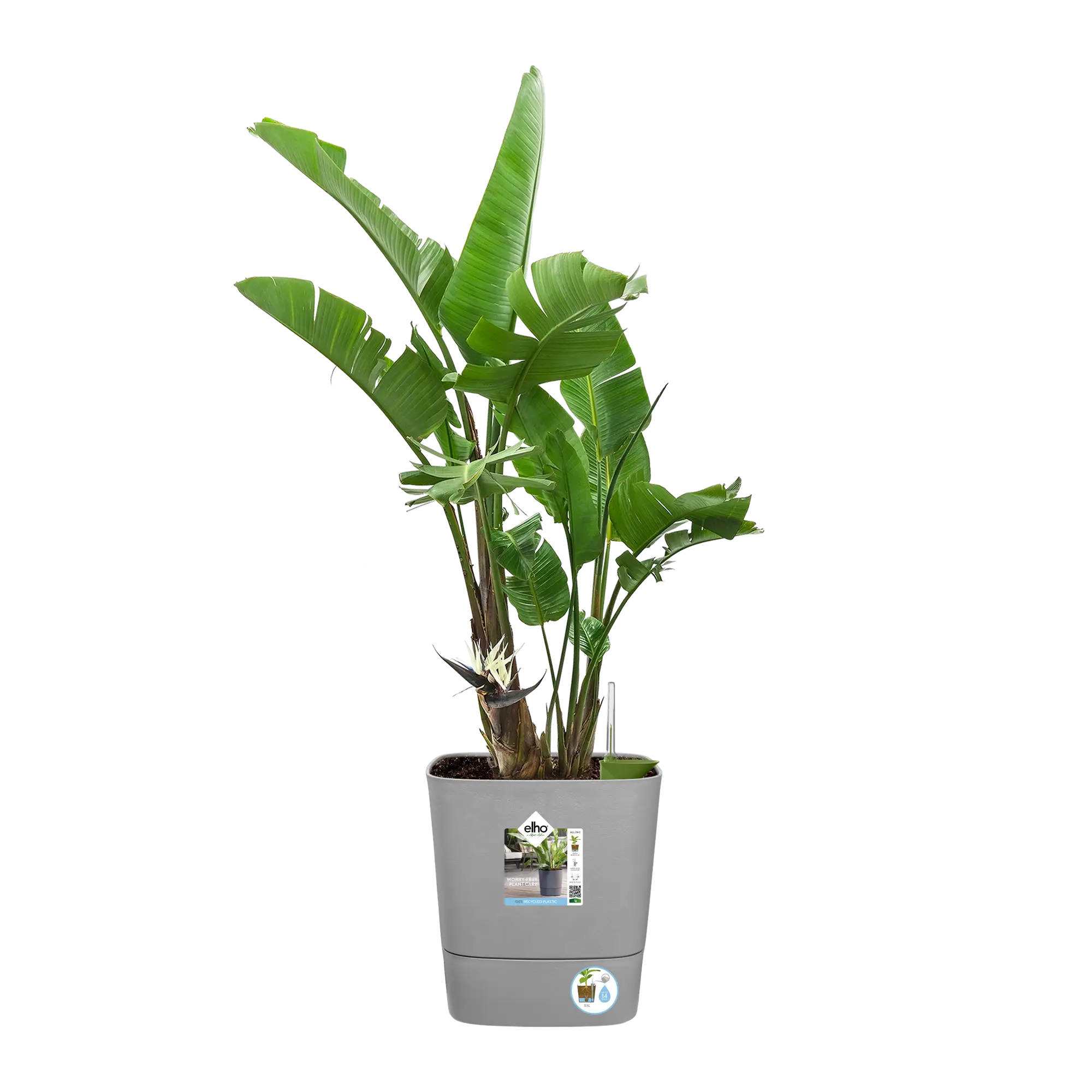 Blumentopf Greensense Aqua Care Quadrat 3 Blumentopf Greensense Aqua Care Quadrat – Bild 3