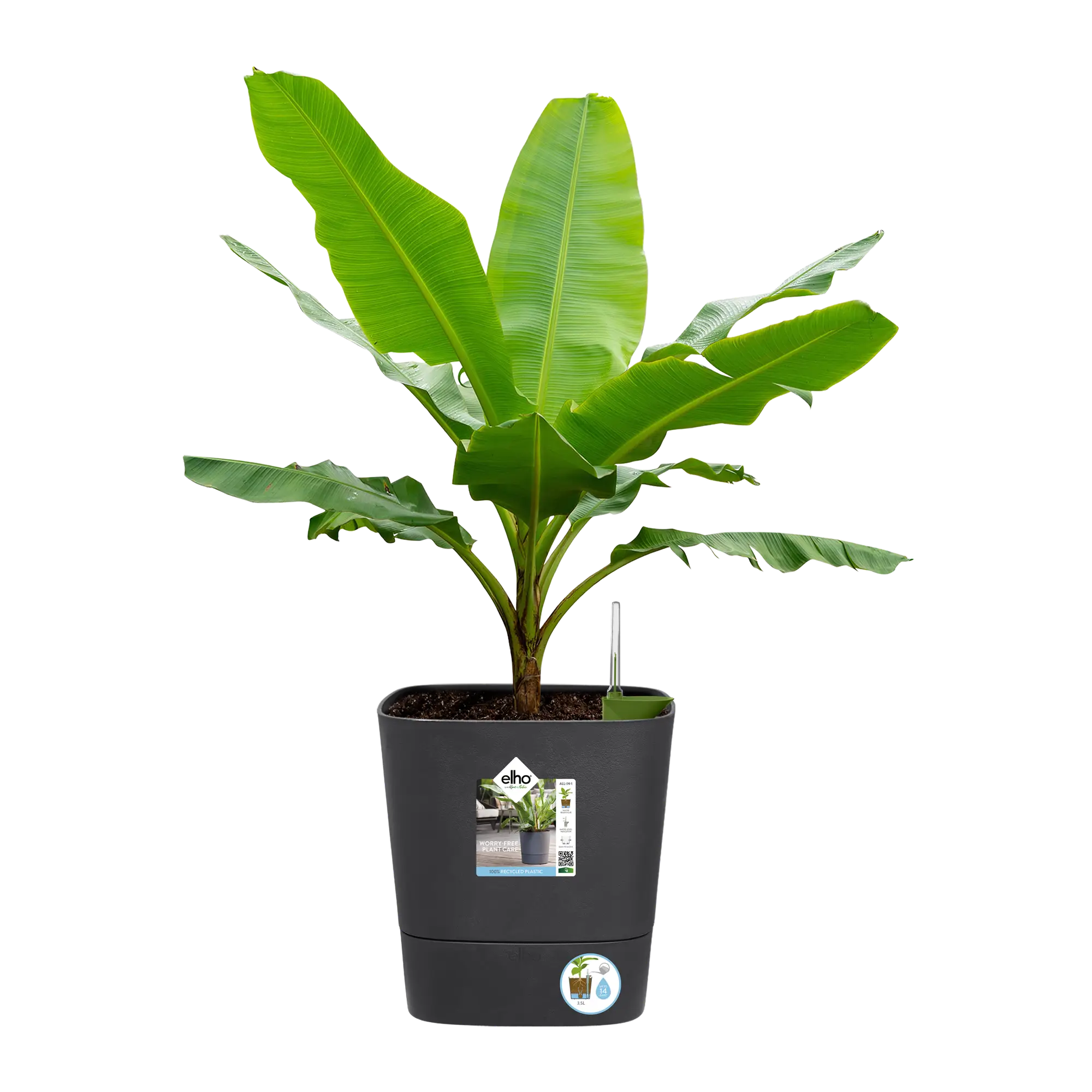 Blumentopf Greensense Aqua Care Quadrat 6 Blumentopf Greensense Aqua Care Quadrat – Bild 6