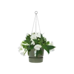 Greenville Hängeampel