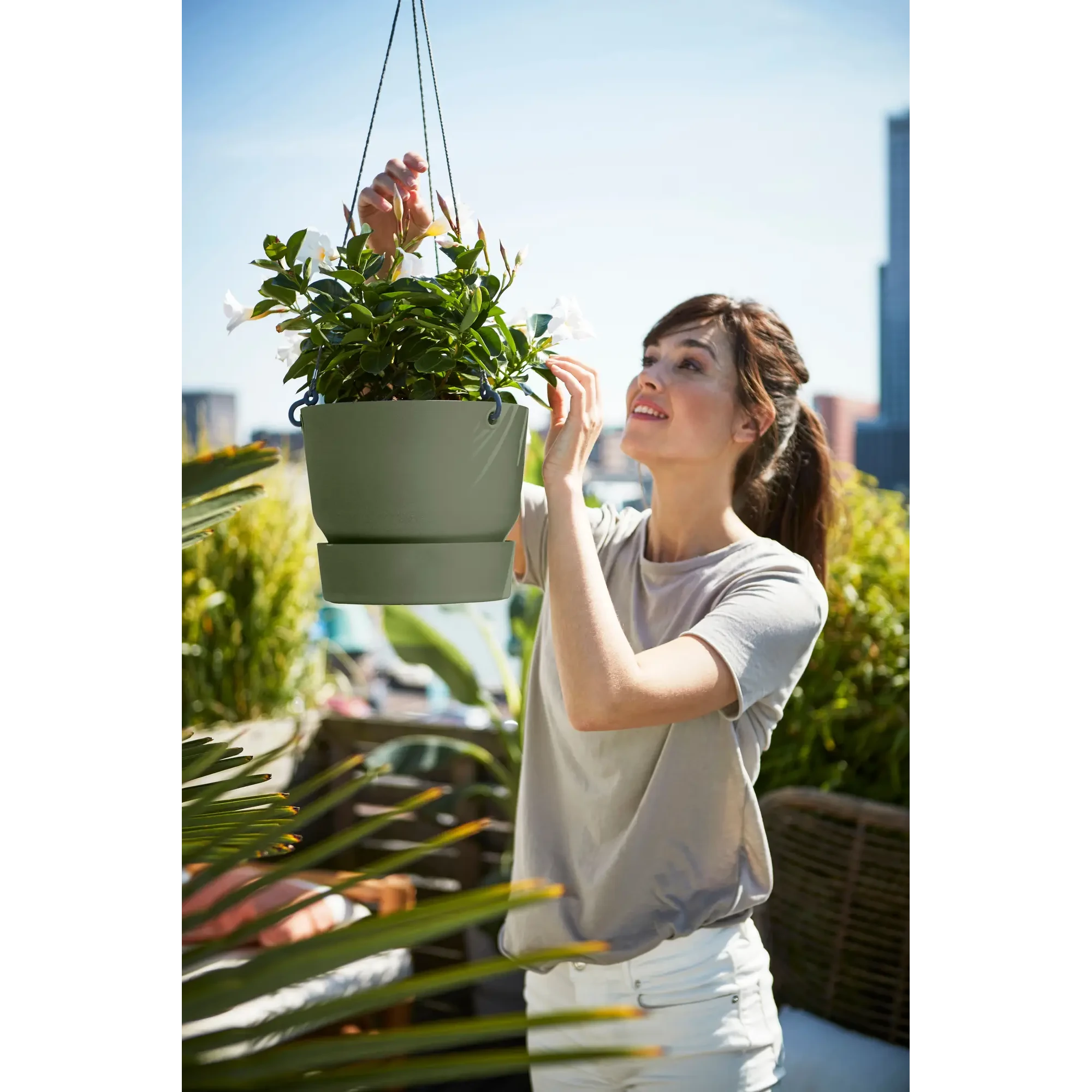 Greenville Hängeampel 5 Greenville Hängeampel – Bild 5