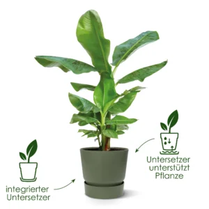 Blumentopf Greenville Rund