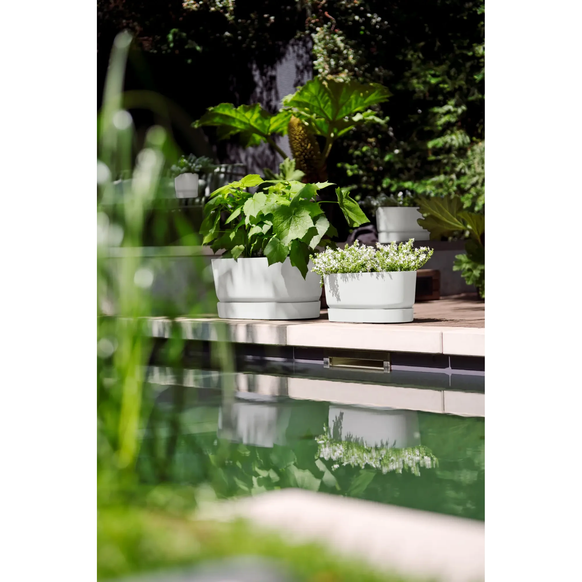 Blumentopf Greenville Trough 8 Blumentopf Greenville Trough – Bild 8