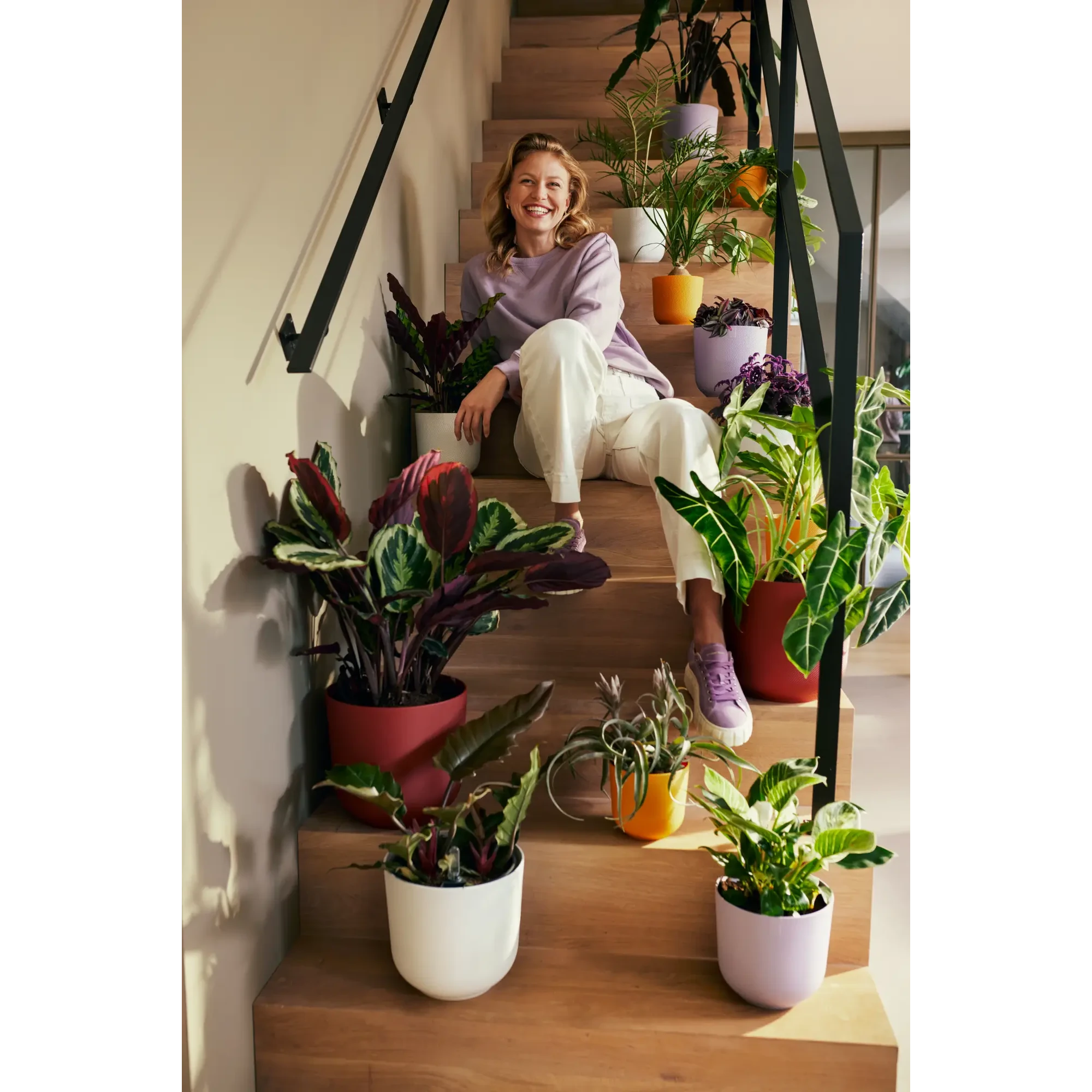 Blumentopf Jazz Rund 3 Blumentopf Jazz Rund – Bild 3