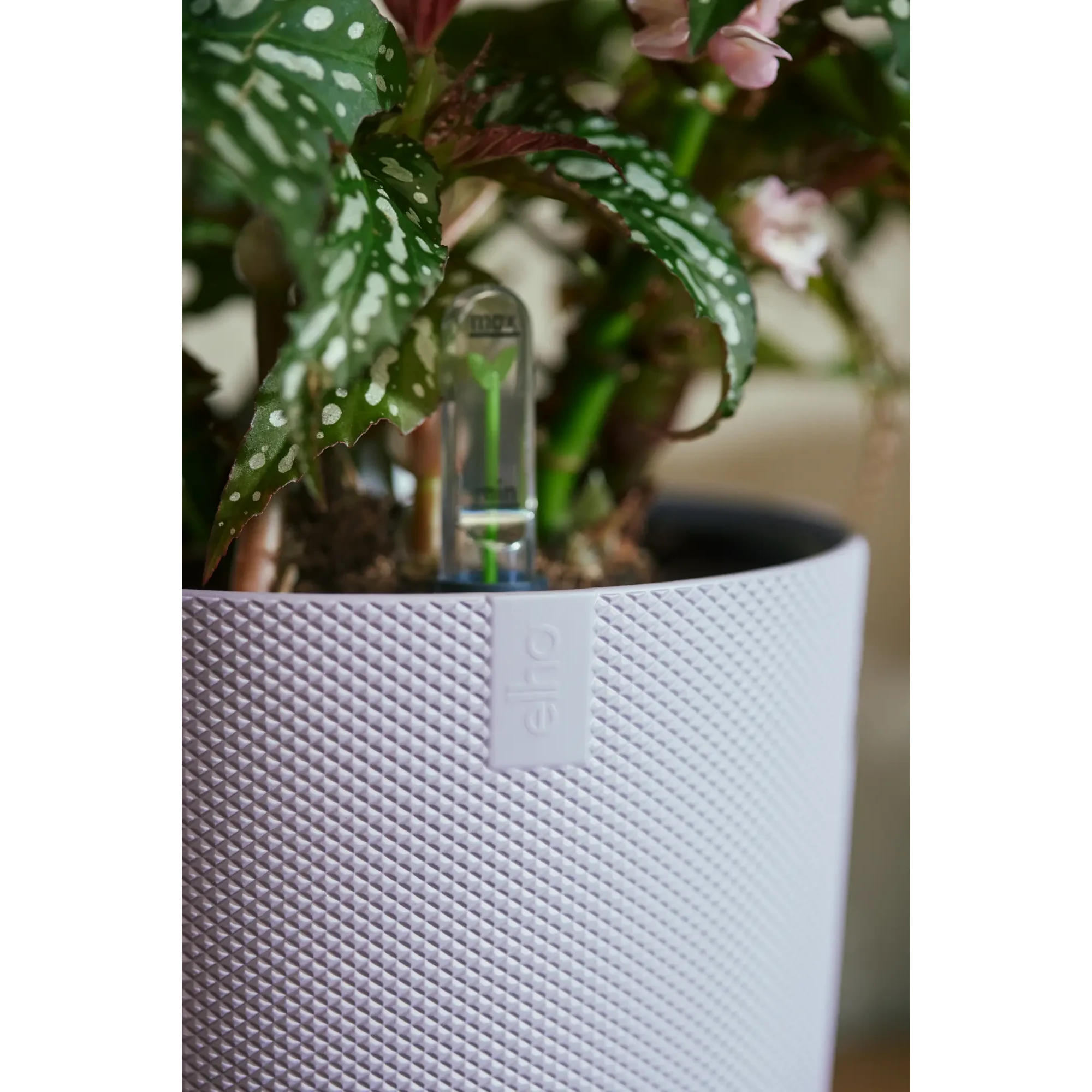 Blumentopf Jazz Rund 18 Blumentopf Jazz Rund – Bild 18