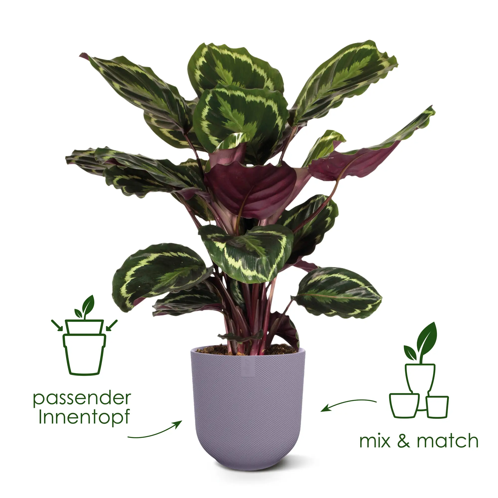 Blumentopf Jazz Rund 17 Blumentopf Jazz Rund – Bild 17