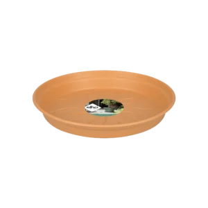 Green Basics Untersetzer