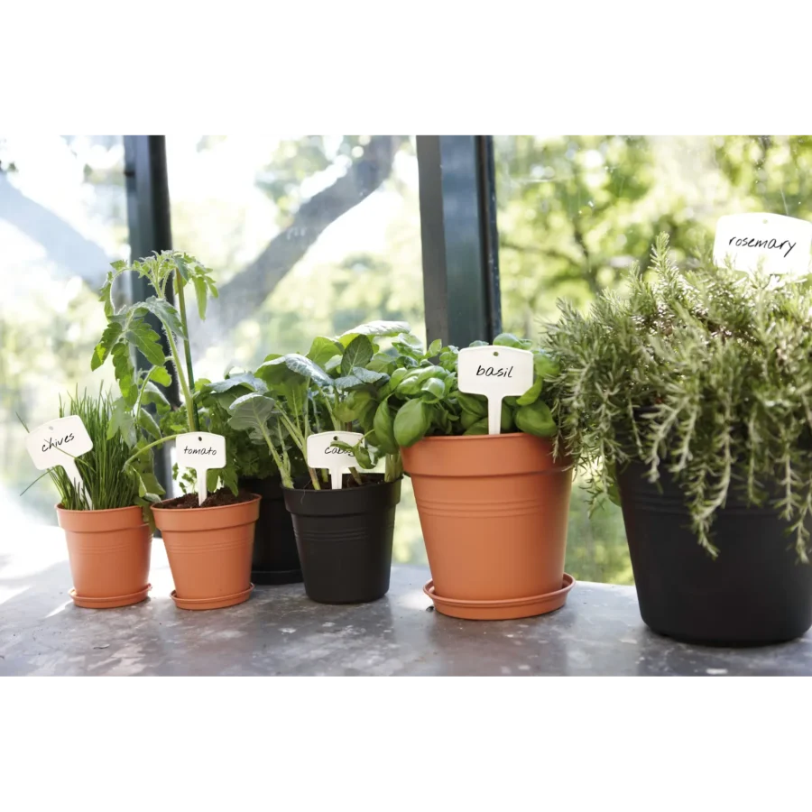 Green Basics Untersetzer – Bild 4