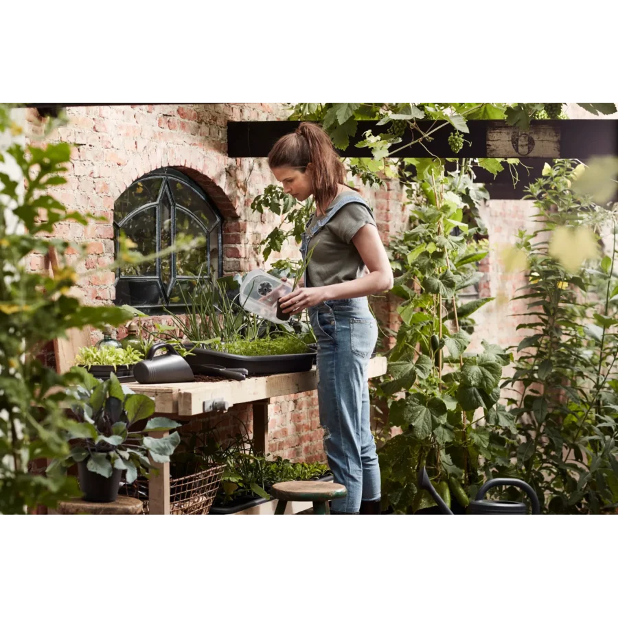 Green Basics Anzucht Haus – Bild 4
