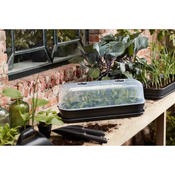 Green Basics Anzucht Haus