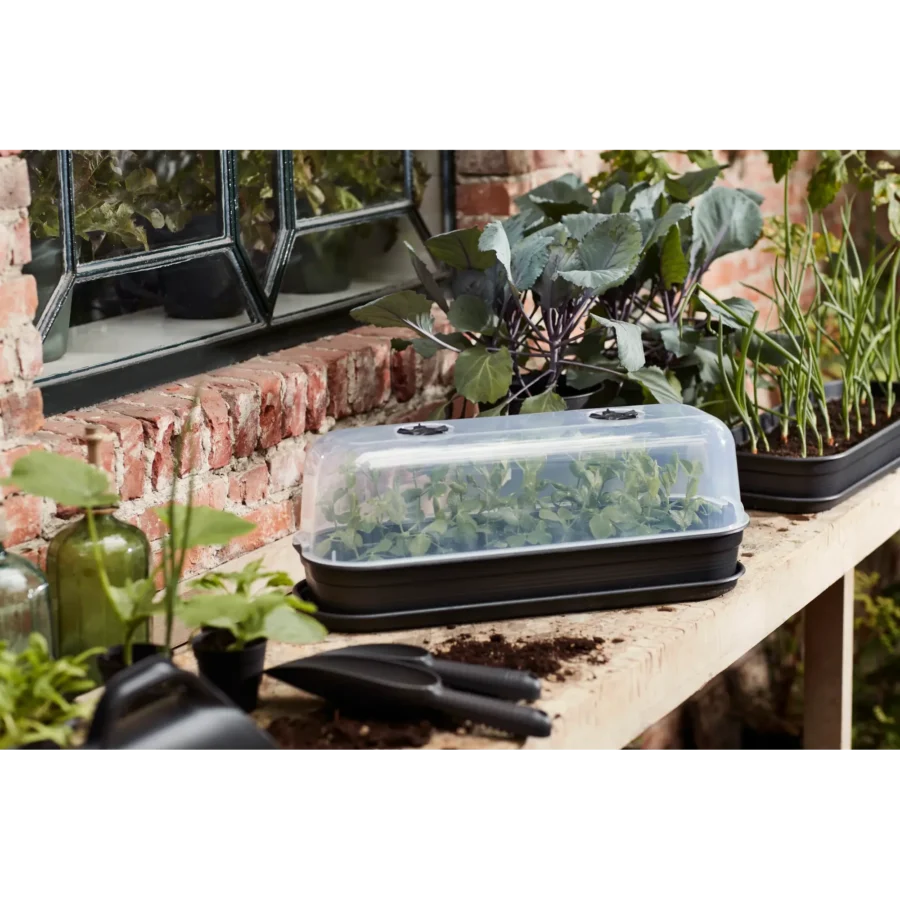 Green Basics Anzucht Haus
