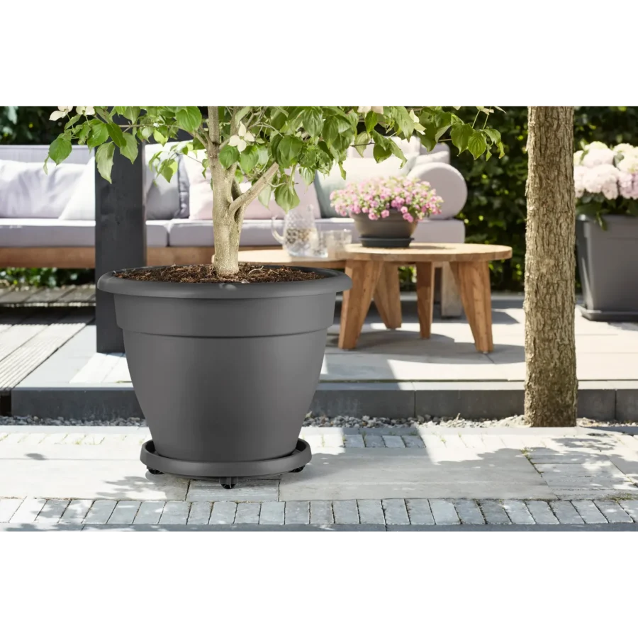 Untersätzer mit Rädern - Universal Planttaxi – Bild 3
