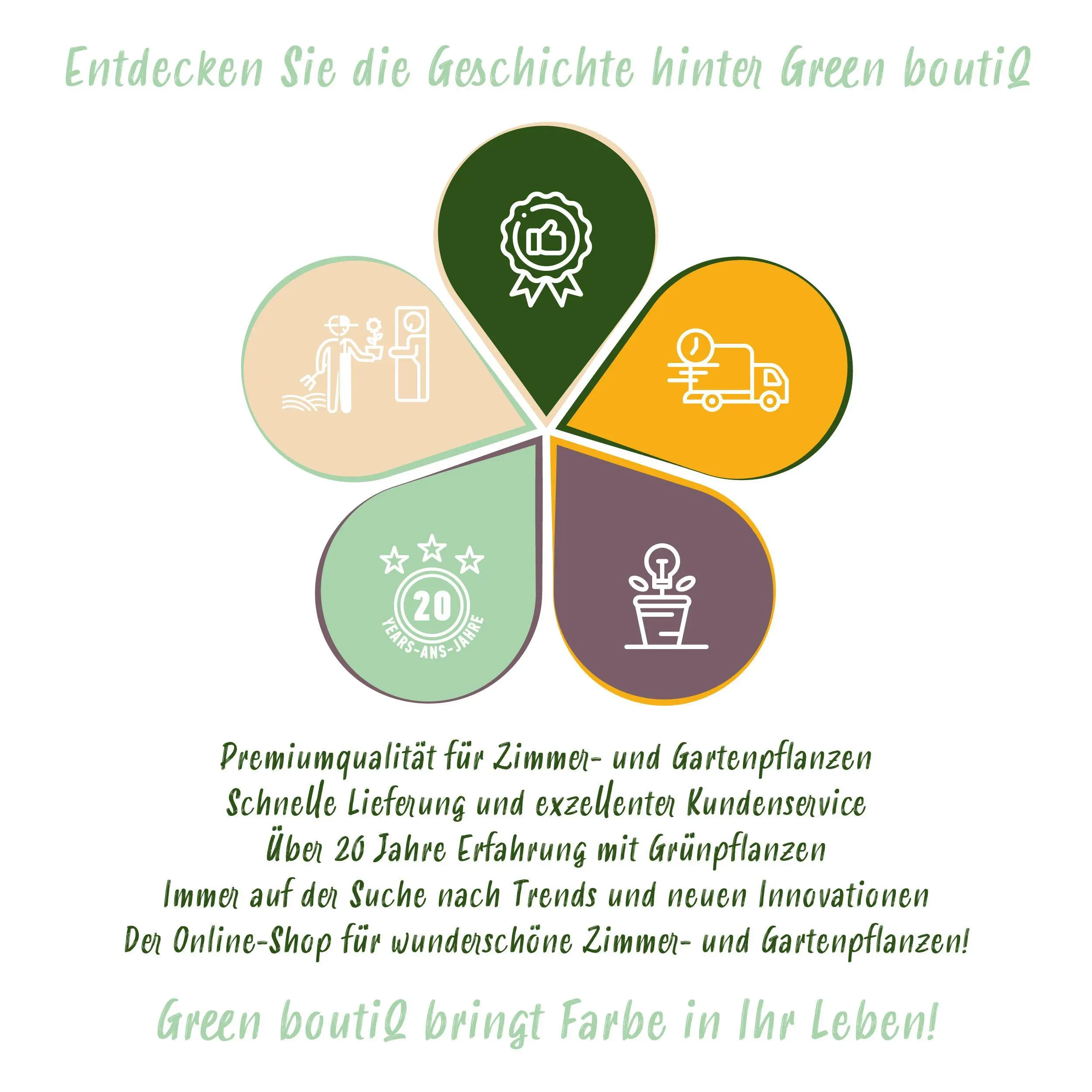 2x Wilder Wein - Parthenocissus Engelmannii - Blatt Grün später Rot - Topf 11cm Höhe 40cm 7 2x Wilder Wein - Parthenocissus Engelmannii - Blatt Grün später Rot - Topf 11cm Höhe 40cm – Bild 7