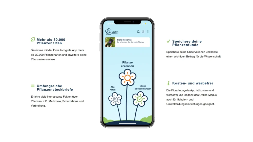 Flora Incognita App – Pflanzen bestimmen, Steckbriefe abrufen und Beobachtungen speichern