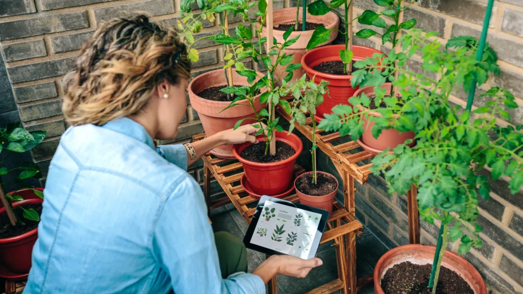 Pflanzenkrankheiten erkennen App – Digitale Pflanzenkontrolle und Diagnose per Tablet im Garten