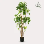 Kunstpflanze - Polyscias - Aralia - ↨160 cm