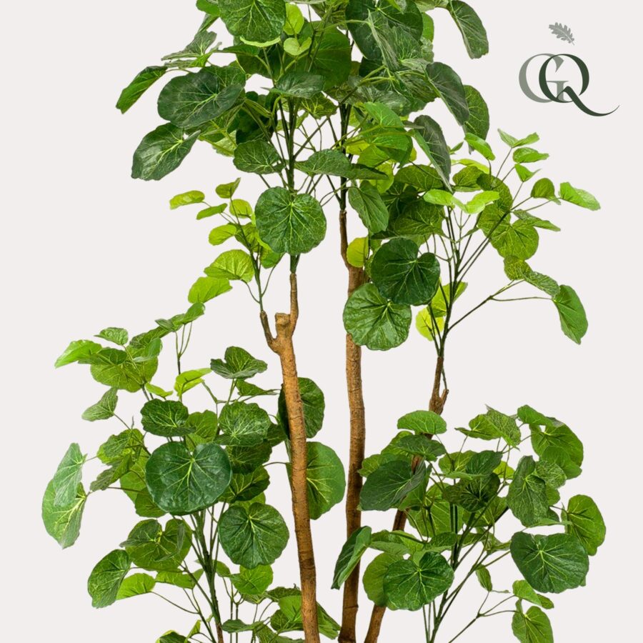 Kunstpflanze - Polyscias - Aralia - 160 cm – Bild 2