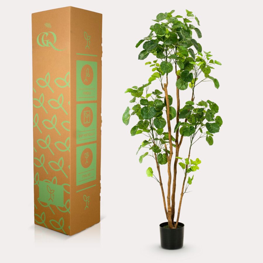 Kunstpflanze - Polyscias - Aralia - 160 cm – Bild 6