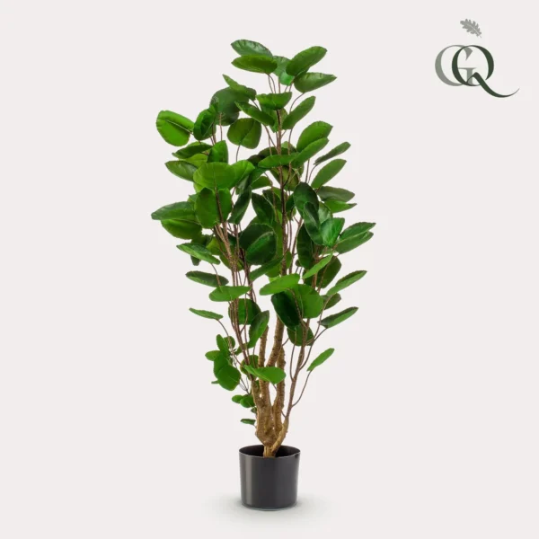 Kunstpflanze - Polyscias - Aralia - ↨105 cm