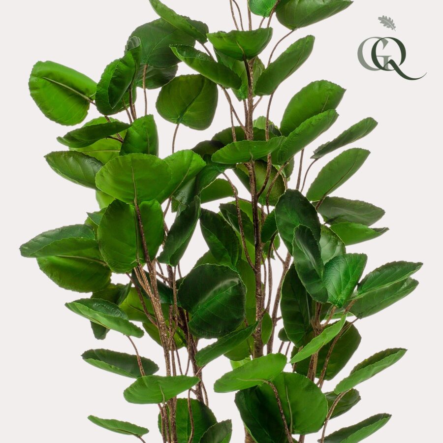 Kunstpflanze - Polyscias - Aralia - 105 cm – Bild 2