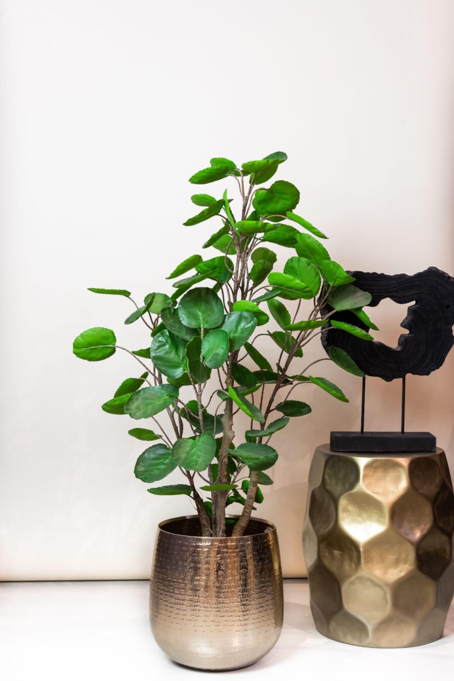 Kunstpflanze - Polyscias - Aralia - 105 cm – Bild 5