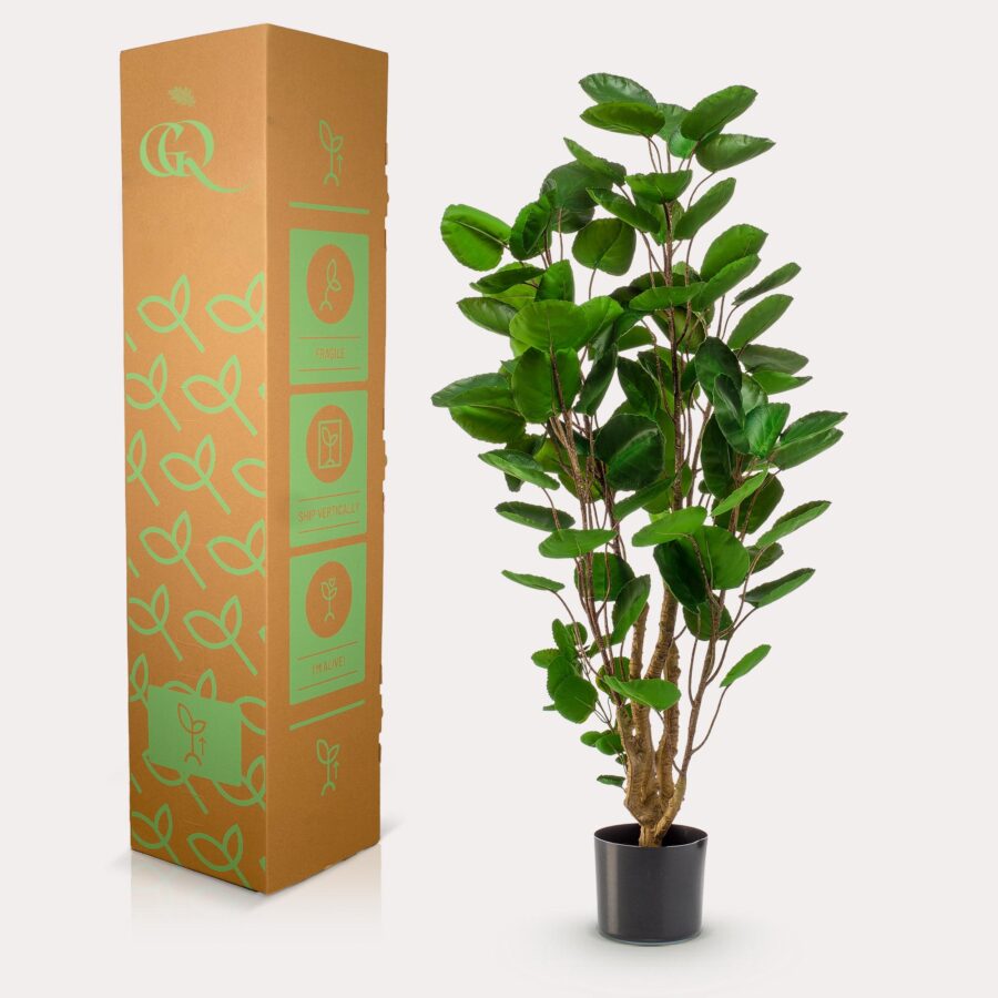 Kunstpflanze - Polyscias - Aralia - 105 cm – Bild 6