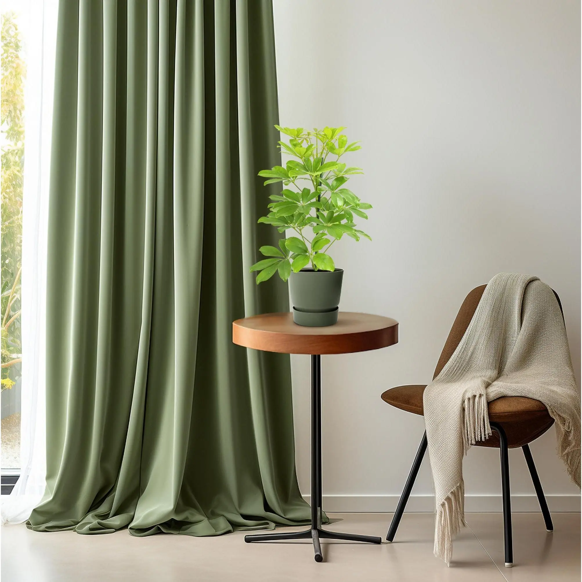 Schefflera Nora - Ø13cm - ↨45cm 6 Schefflera Nora - Ø13cm - ↨45cm