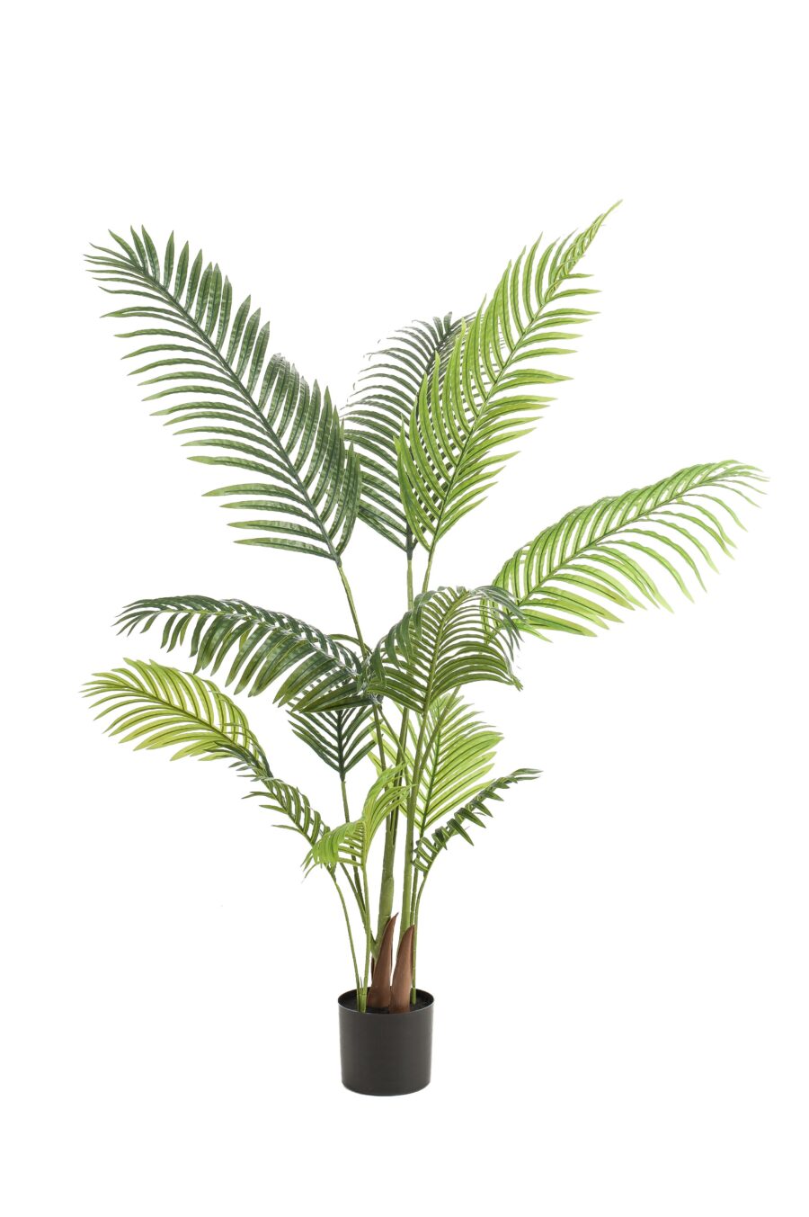 Kunstpflanze - Howea Forsteriana - 140 cm – Bild 4