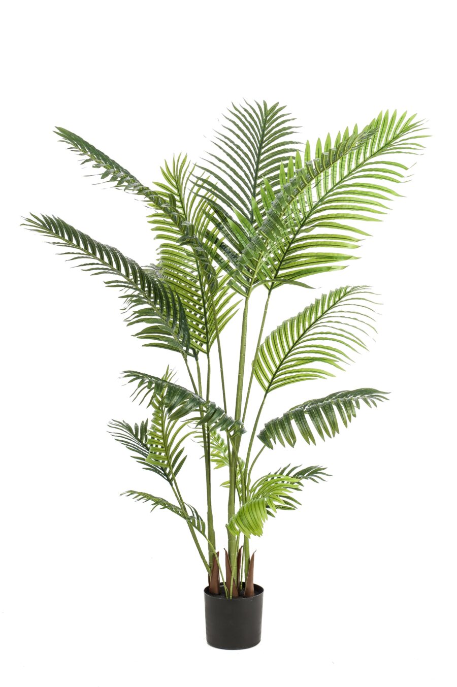 Kunstpflanze - Howea Forsteriana - 160 cm – Bild 4