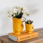 Strelitzia Reginae P17 - Ø17cm - ↨50cm