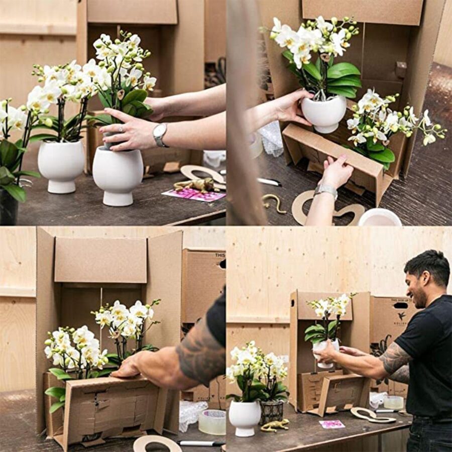 Kolibri Company - Set aus gelber roter Orchidee und Sukkulente auf Bambustablett – Bild 3