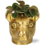 Peperomia Green Bubble - Ø10,5cm - ↨15cm + Planter Giraf D11/14x11cm - Gold