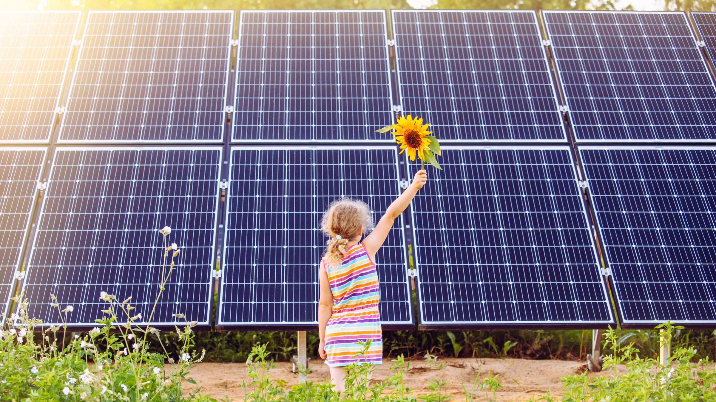 Photovoltaik im Garten - Wie man im eigenen Grün Strom produziert 3 Photovoltaik im Garten: Kind mit Sonnenblume vor großen Solarpaneelen in einer Freiflächenanlage
