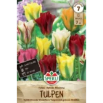 Viridiflora-Tulpe Mischung (Tulipa hybrids)