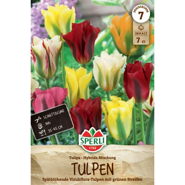 Viridiflora-Tulpe Mischung (Tulipa hybrids)