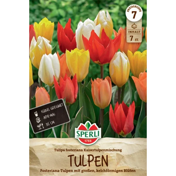 Fosteriana-Tulpe (Tulipa fosteriana) Kaisertulpen-Mischung