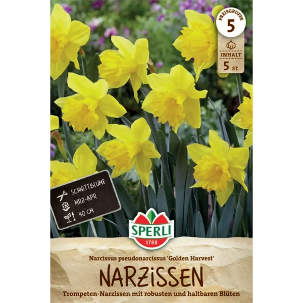 Trompeten-Narzisse (Narcissus pseudonarcissus) Golden Harvest