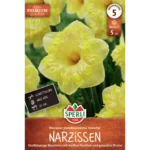 Narzisse Snowtip (Narcissus pseudonarcissus) - Premium Großkronige Blütenpracht
