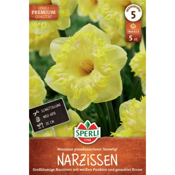Narzisse Snowtip (Narcissus pseudonarcissus) - Premium Großkronige Blütenpracht